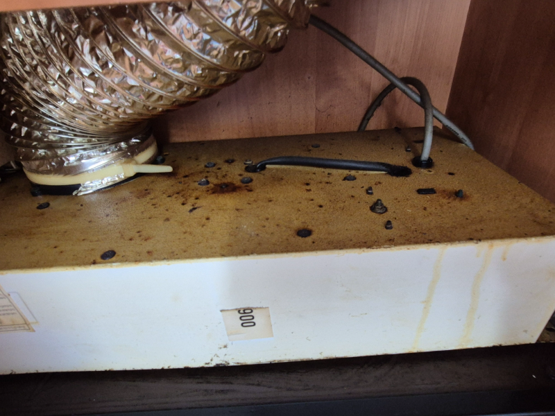 1000013475.jpg