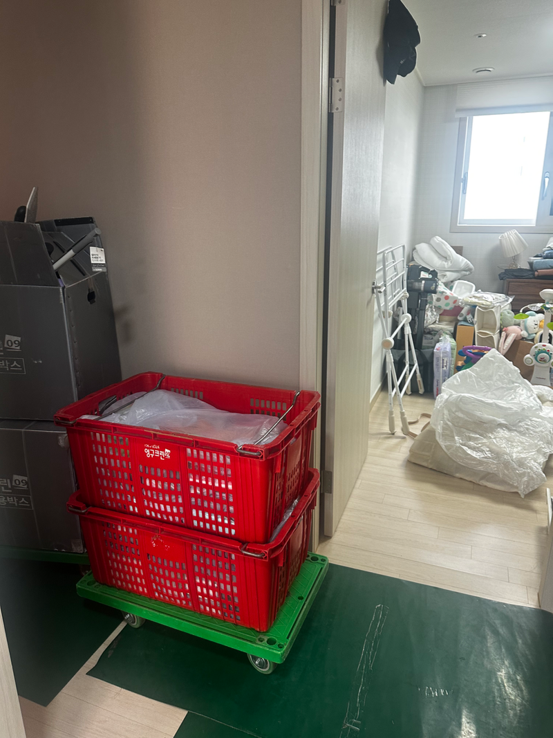 IMG_3147.webp