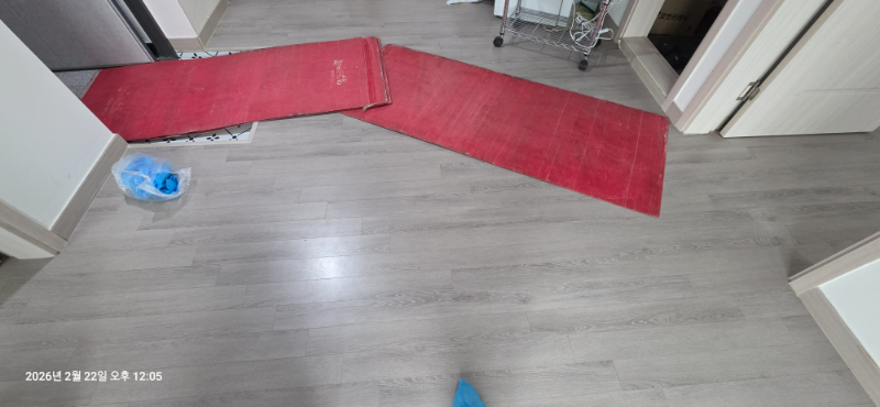 20260222_120528.jpg