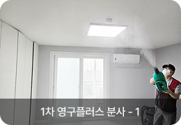 1차 영구플러스 분사 - 1